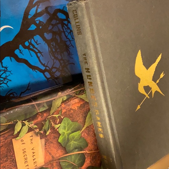 The hunger games book - Picture 2 of 6